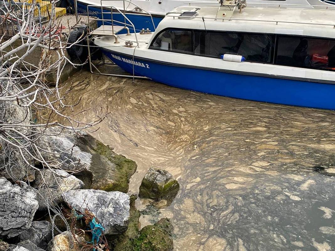 İstanbul'un o ilçesinde müsilaj oluşmaya başladı! Korkutan manzara geri döndü 7